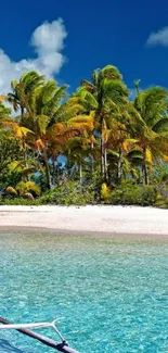 Tropical beach with turquoise water and palm trees under a clear blue sky.
