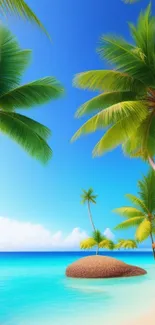 Scenic tropical beach with bright blue sky and lush palm trees.