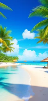 Vibrant tropical beach wallpaper with azure waters and palm trees.