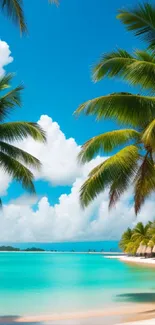 Tropical beach with palm trees and turquoise waters under a clear blue sky.