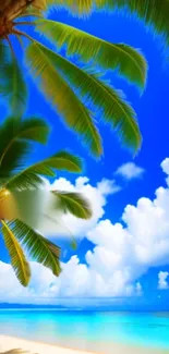 Tropical beach wallpaper with palm trees and blue sky.