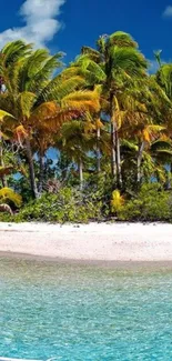 Tropical beach wallpaper with palms and turquoise water.