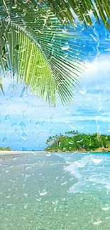 Tropical beach with palm leaves and clear ocean waves.