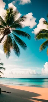 Tropical beach with palm trees and blue sky wallpaper.