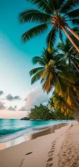 Tropical beach at sunrise with palm trees and calm ocean waves.