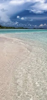 Tropical beach with clear waters and azure sky in mobile wallpaper.