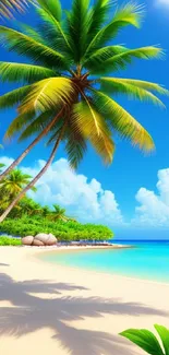 Tropical beach with palm trees under a clear blue sky.