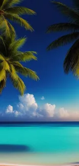 Tropical beach with palm trees and blue ocean under a clear sky wallpaper.