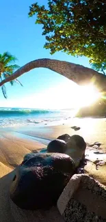 Beautiful tropical beach with palm tree at sunrise.