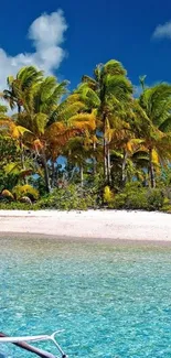 Tropical beach with palm trees and clear blue water.