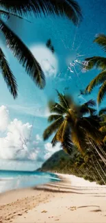 Tropical beach with palms and clear blue skies wallpaper.