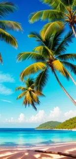 Tropical beach with palm trees and turquoise water under a clear blue sky.