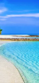 Tropical beach with blue sky and ocean, lush greenery, and sandy shore.