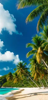 Tropical beach with palm trees under a vibrant blue sky and white clouds.