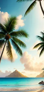 Tropical beach wallpaper with palms and ocean view.