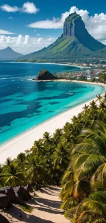 Stunning tropical beach wallpaper with turquoise waters and palm trees.