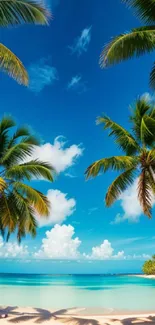 Vibrant tropical beach with palm trees and blue sky.