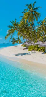 Beautiful tropical beach with blue water and palm trees.