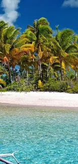 Tropical beach with palm trees and clear waters under blue skies.