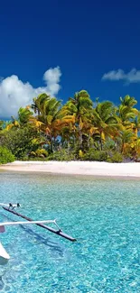 Tropical beach wallpaper showcasing palm trees and clear blue water.