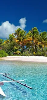 Tropical beach with palm trees and clear blue water under a sunny sky.