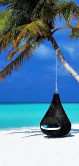 Tropical beach wallpaper with palm tree and azure sky.