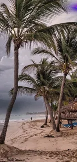 Scenic tropical beach with palm trees and sandy shore under cloudy sky.