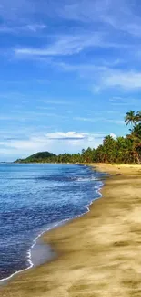 Vibrant tropical beach with palm trees and azure sky.