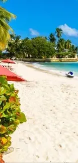 Tropical beach with palm trees, white sand, and vibrant blue ocean.