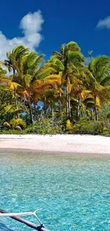 Palm trees and clear water on a tropical island beach.