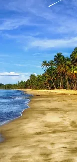 Tropical beach with palm trees and a blue sky.