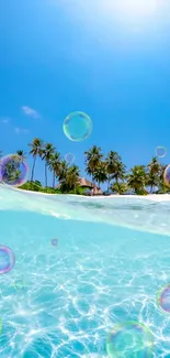 Tropical beach with clear water and palm trees under a bright blue sky.