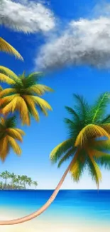 Beautiful tropical beach mobile wallpaper with palm trees and blue ocean.