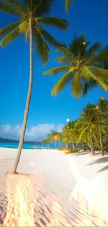 Tropical beach with blue sky and palm trees on white sand.