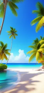 Tropical beach wallpaper with palms and turquoise ocean under a blue sky.