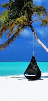 Tropical beach with palm tree and hammock on white sand by turquoise sea.