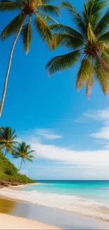 Tropical beach with palm trees under a blue sky, perfect for phone wallpaper.