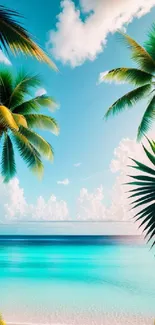 Tropical beach wallpaper with palm trees, blue water, and clear skies.