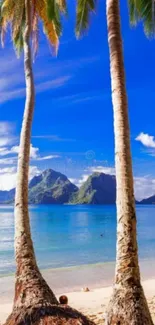 Vibrant tropical beach with palm trees and blue sky.