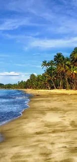 Serene tropical beach with palm trees and golden sand under a clear blue sky.