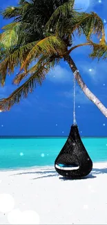 Tropical beach with palm tree and clear blue water.