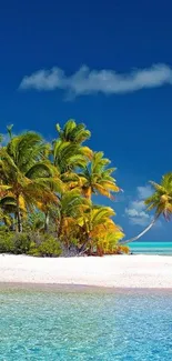 Tropical beach with blue sky, palm trees, and clear water.