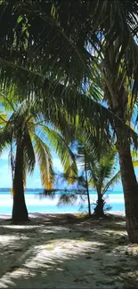 Lush palm trees framing a tropical beach scene.