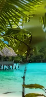 Tropical beach with palm trees and turquoise water.