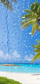 Tropical beach with azure sky, palm trees, and clear ocean water.