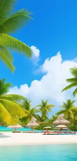 Tropical beach with palm trees and clear blue sky.