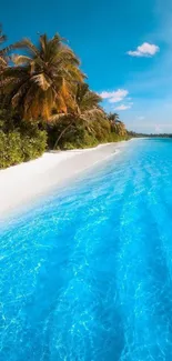 Mobile wallpaper of tropical beach with blue ocean and palm trees.