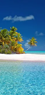 Tropical beach with palms, azure ocean, and clear skies.