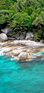 Tropical beach wallpaper with turquoise sea and green foliage.