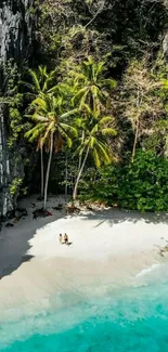 A picturesque tropical beach with turquoise waters and palm trees.